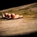 微信公众号二维码